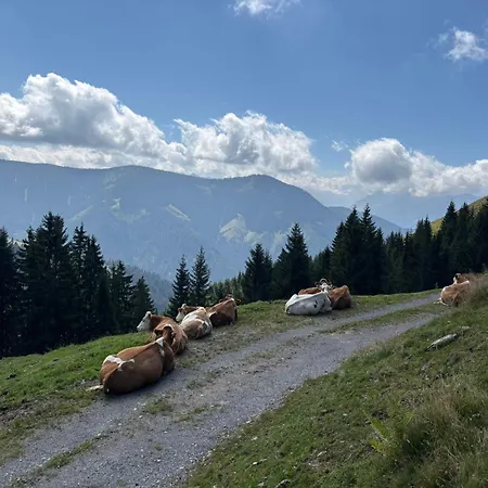 Pointschneiderhof Maishofen