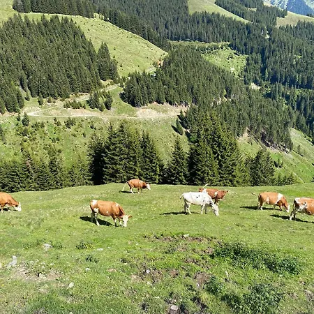 Alojamento de Acomodação e Pequeno-almoço Pointschneiderhof *
