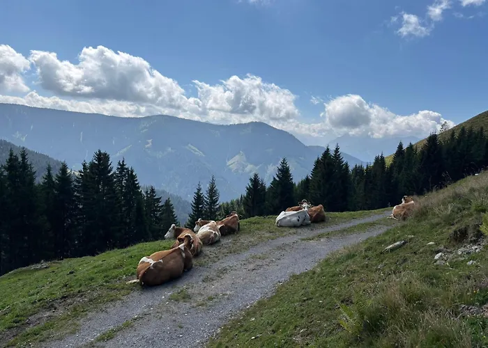 Pointschneiderhof Maishofen