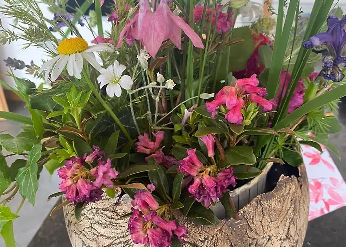 Bed & Breakfast Pointschneiderhof